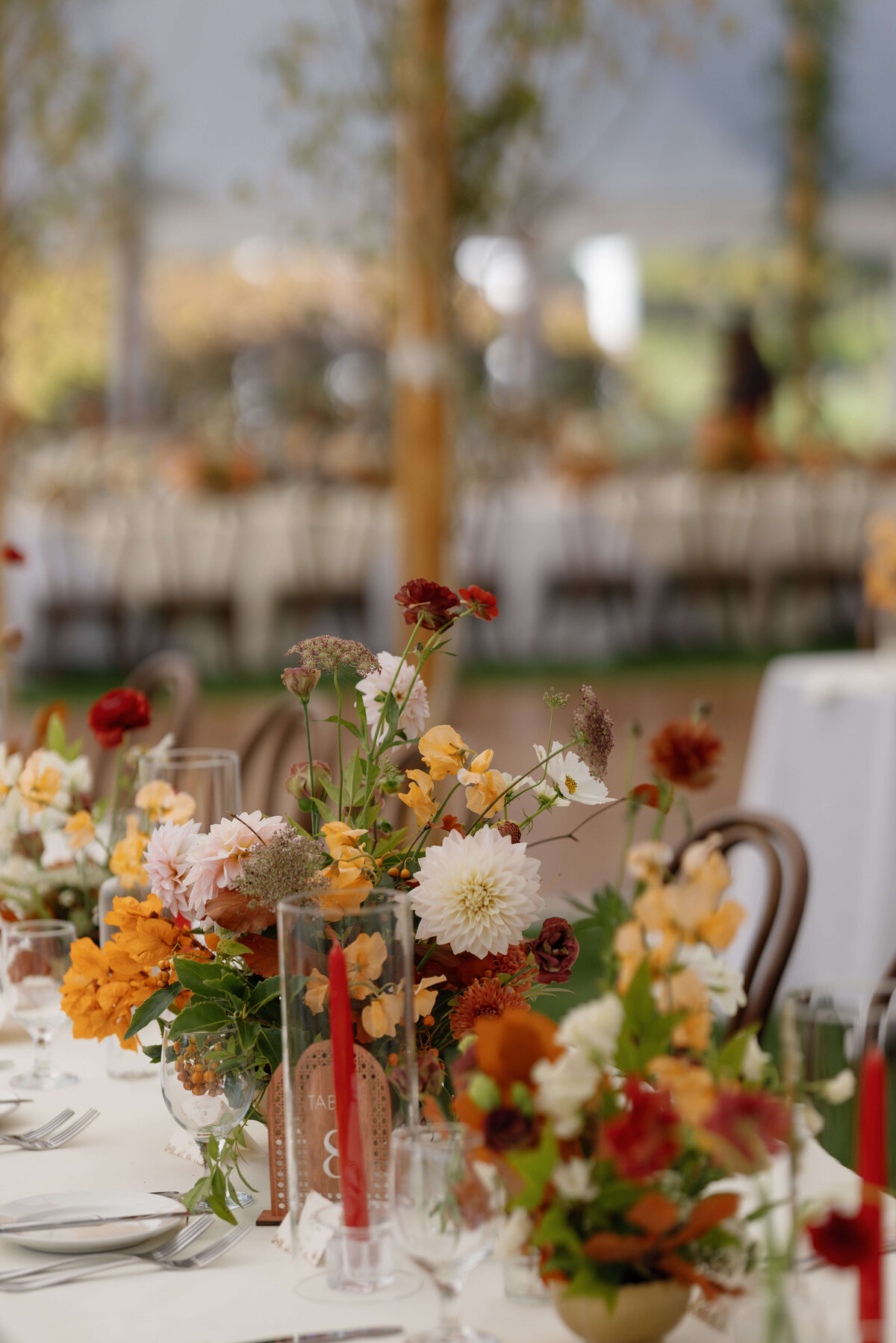 TriciaBaileyPhotography-793