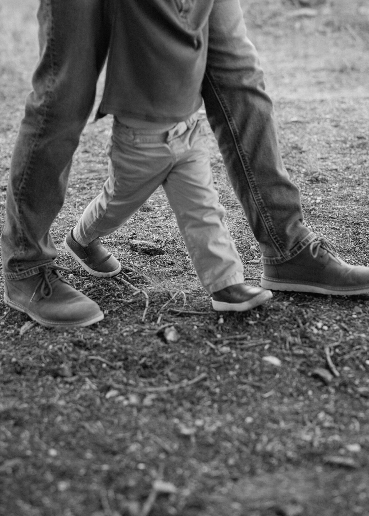 EMILY B. PHOTO CO. -- Southern Oregon Family Photographer -- Mt. Ashland Family Session -- Sharp Family -- PREVIEWS-28