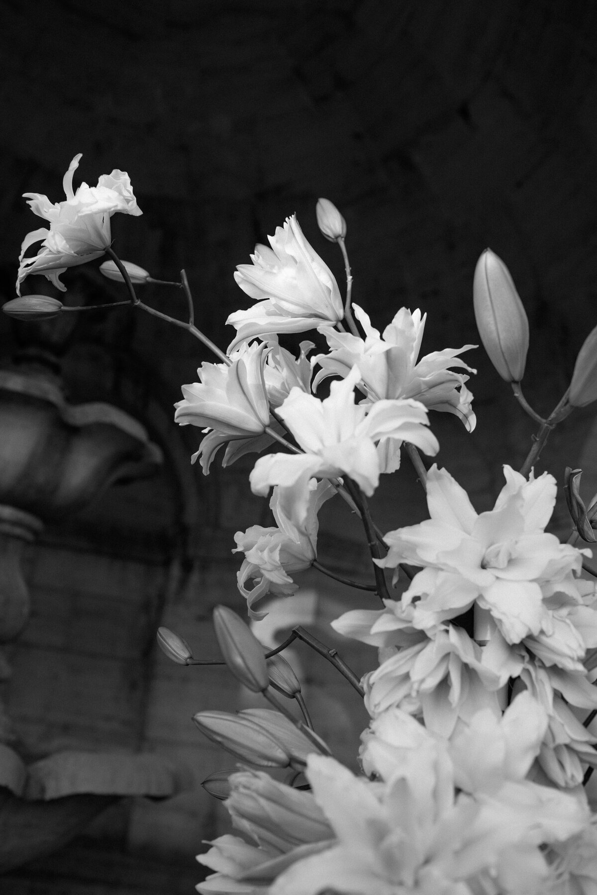 wedding photographer in Italy and France 22
