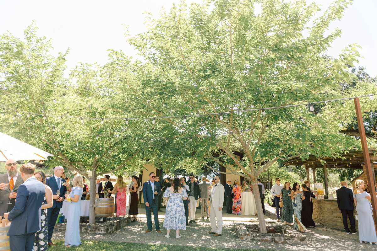 0379_gretchen_gause_photo_healdsburg_wedding_Arista_Winery_Little_Saint_2024-