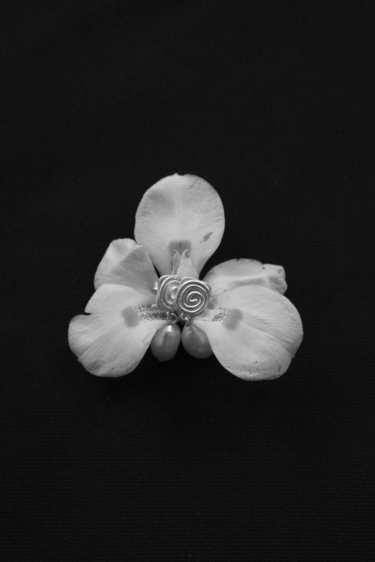 Monica&Drew-fireworks