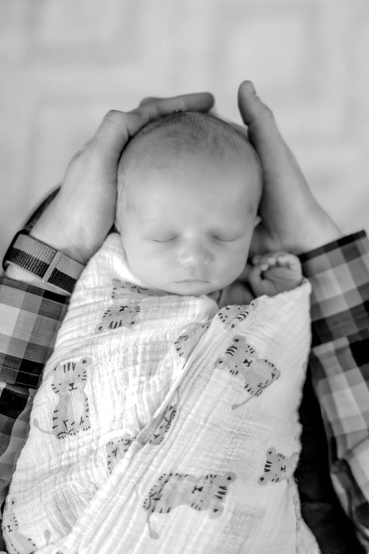 Powell Newborn-83