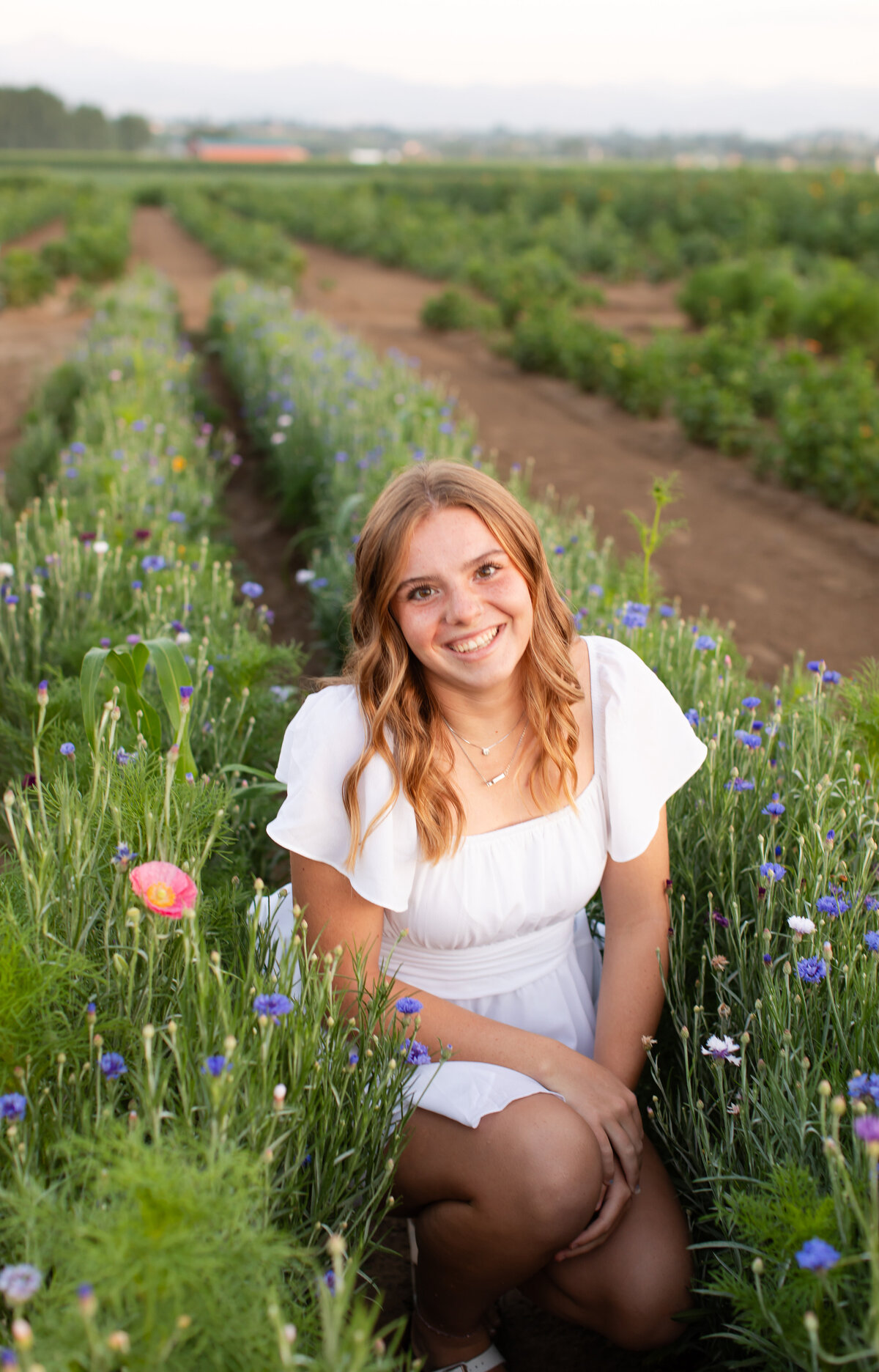 Addison sunflower shoot _0004
