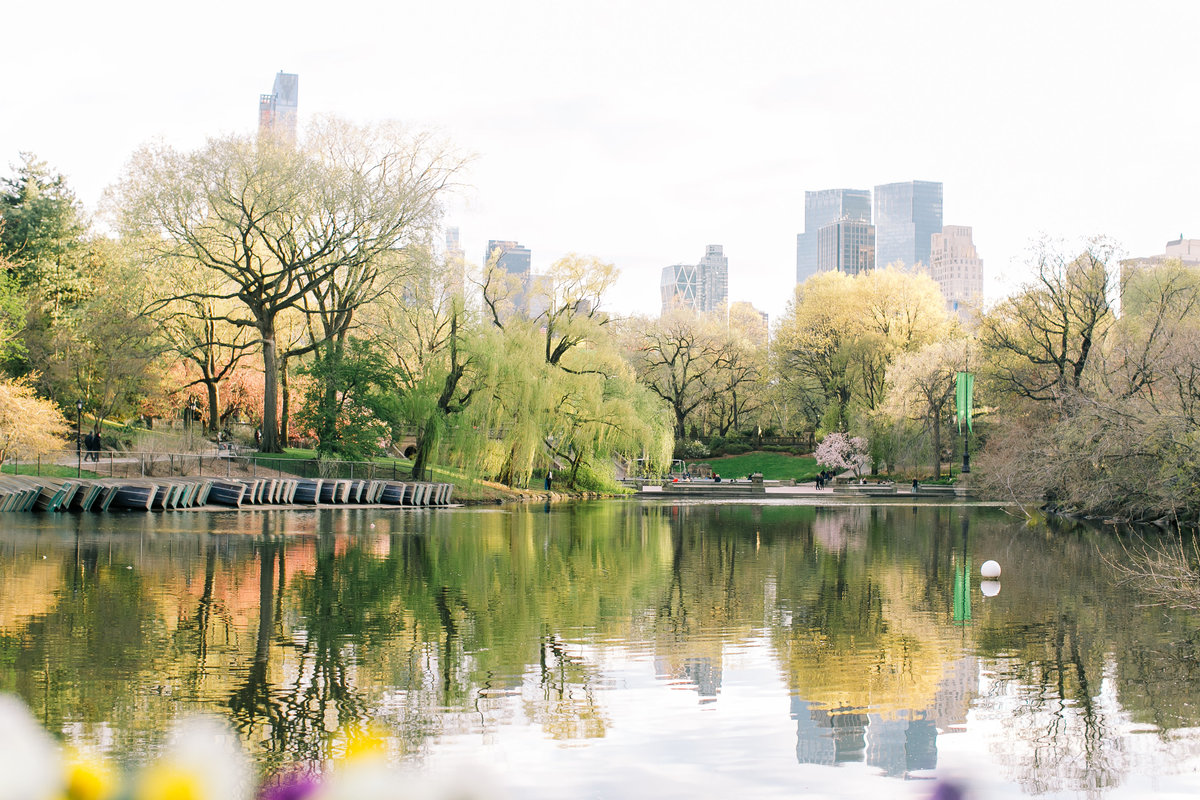 landscape image of Central Park overlooking the lake