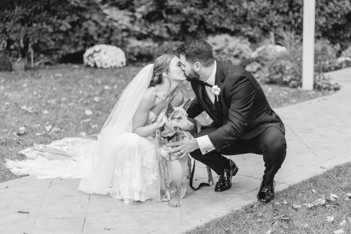 A bride and groom kiss as they get a family portrait with their dog