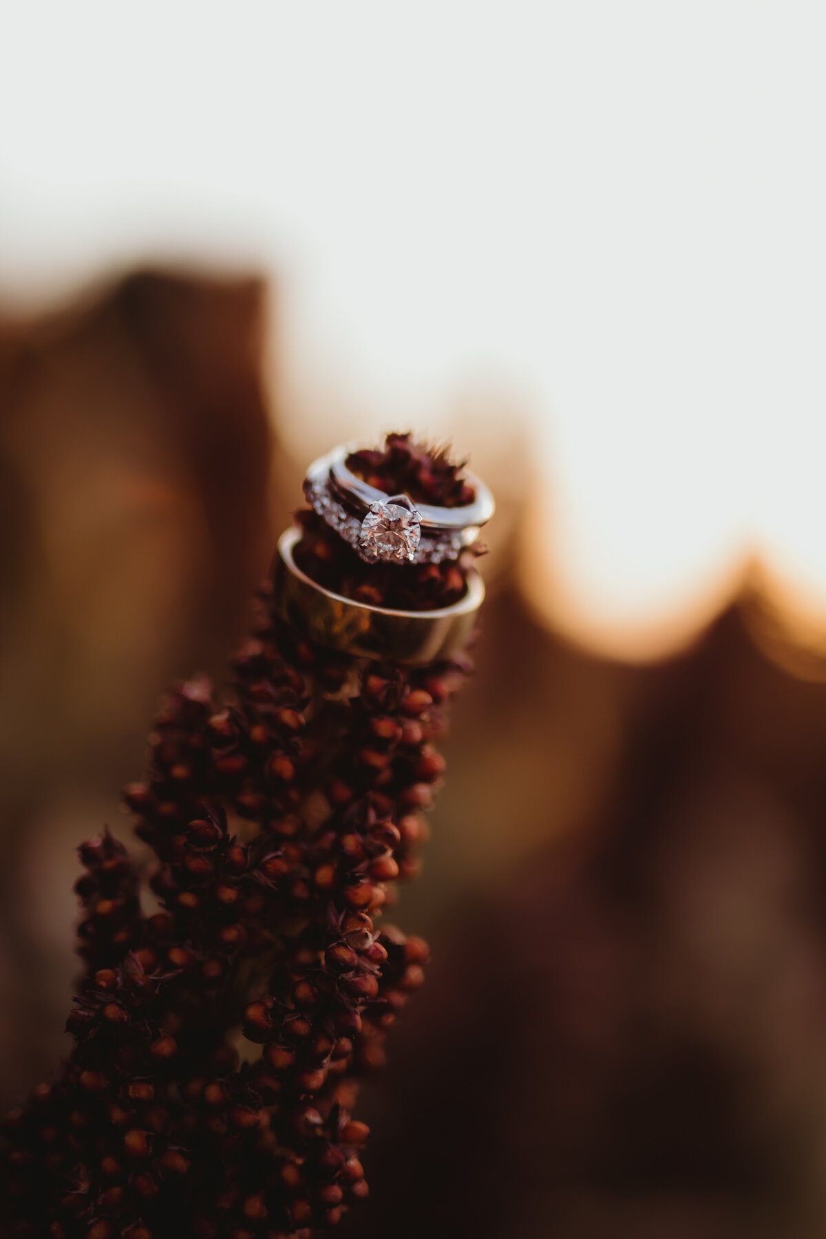 MILO FIELD WEDDING RINGS SUNSET GOLDEN HOUR