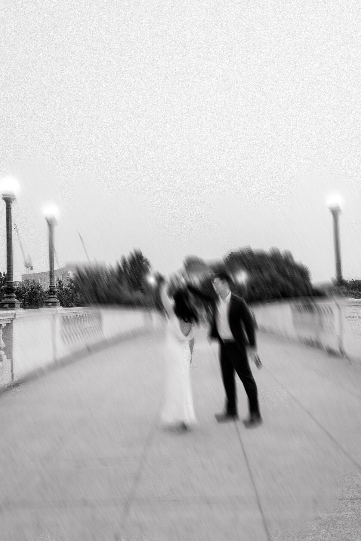 HarvardEngagementsession-tierradiliberophoto-66