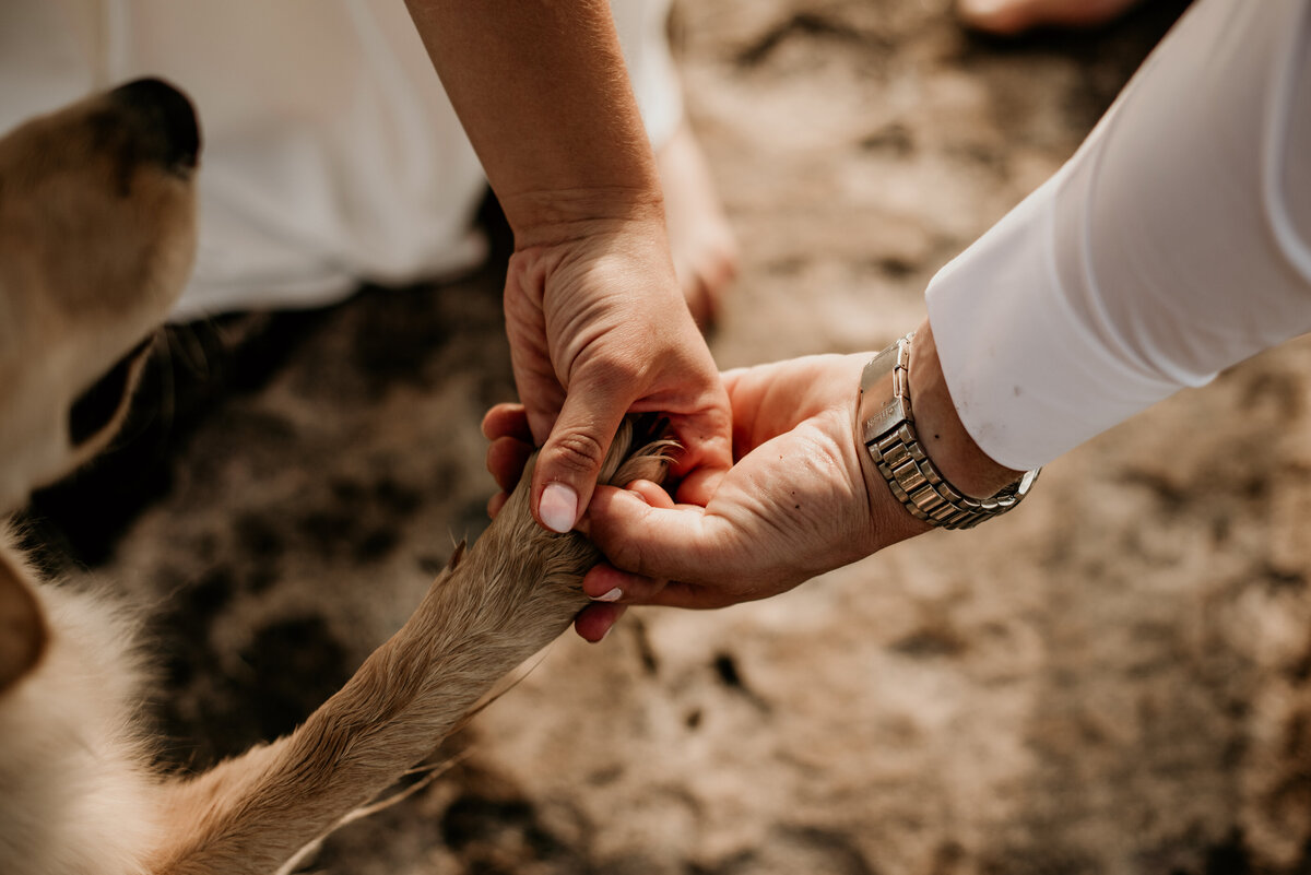 Melissa & Kale's Wedding Cottage Weekend  - Shania Crivelli Photography-409