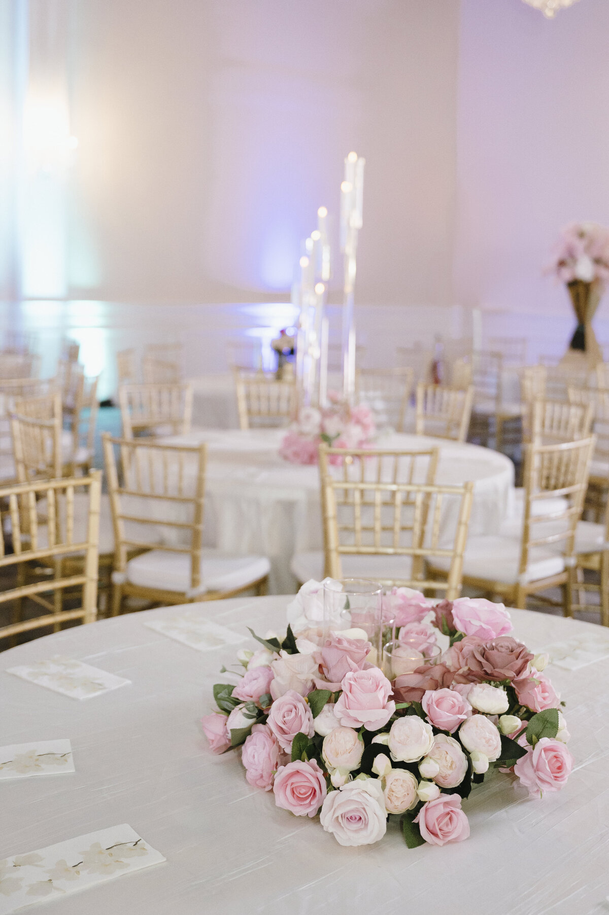 Savannah Indian Wedding Photographer