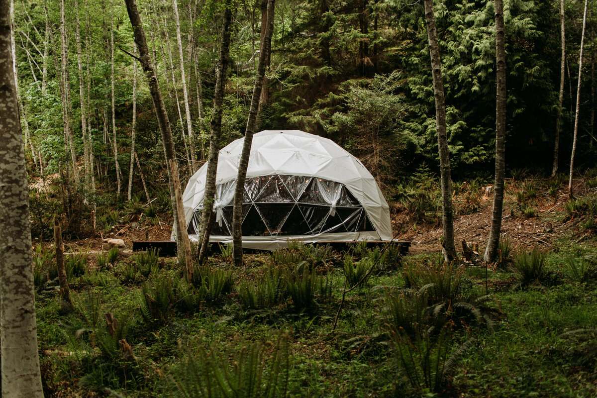 Copy of MenzeVisuals-NectarYoga-dome-nature-46