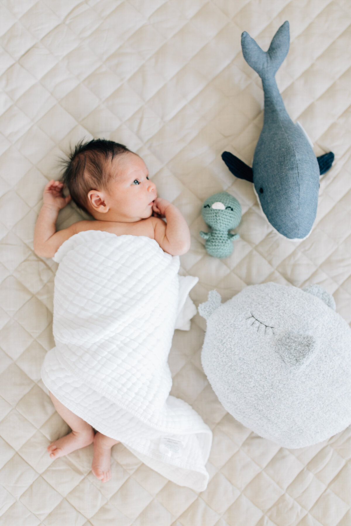 Elizabeth Alice Photography- Wake Forest Newborn Photographer- 19