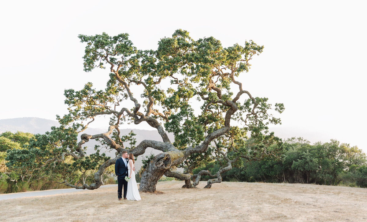 holman-ranch-wedding-carmel-valley