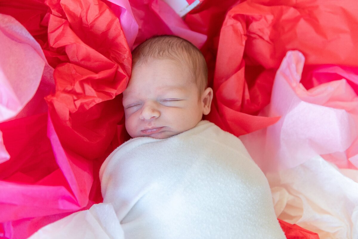 hunter-newborn-tristate-new-jersey-family-newborn-maternity-photographer_0529