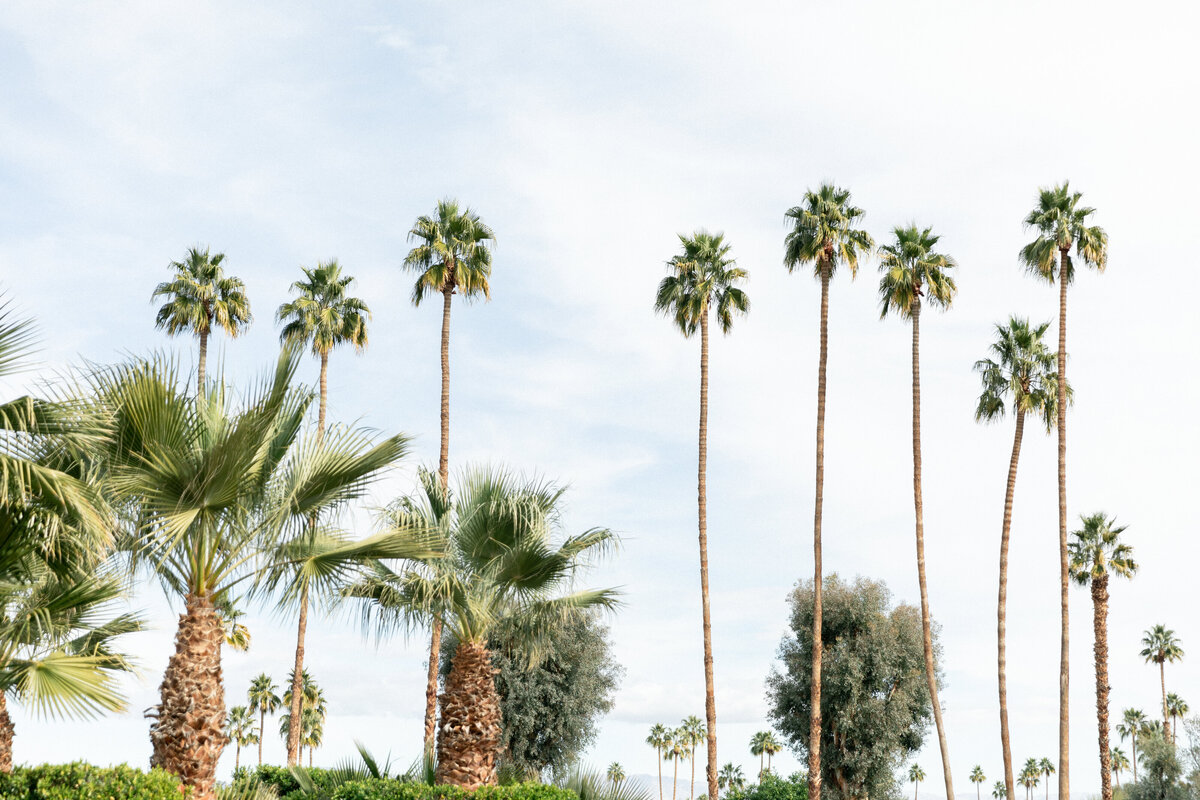 172-larissa-cleveland-palm-springs-ashley-smith-events-wedding-california-photographer-072