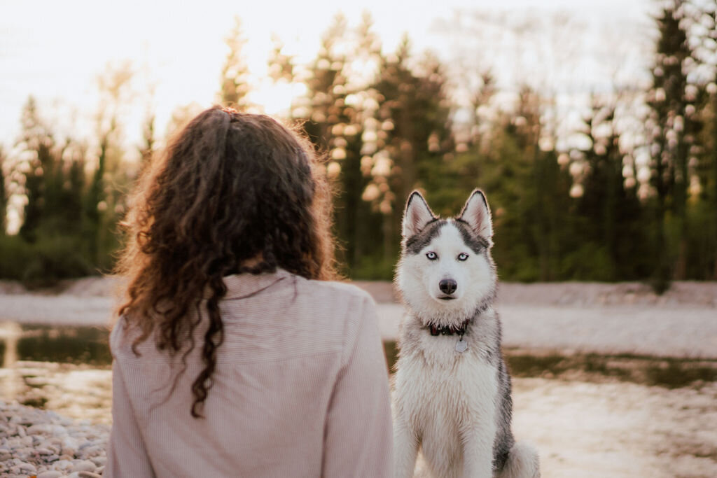 Elis-Fotografie-Hundefotografin-Solothurn-Tiefotografin-Biel-Paarfotos Solothurn-Hochzeitsfotograf-Bern30