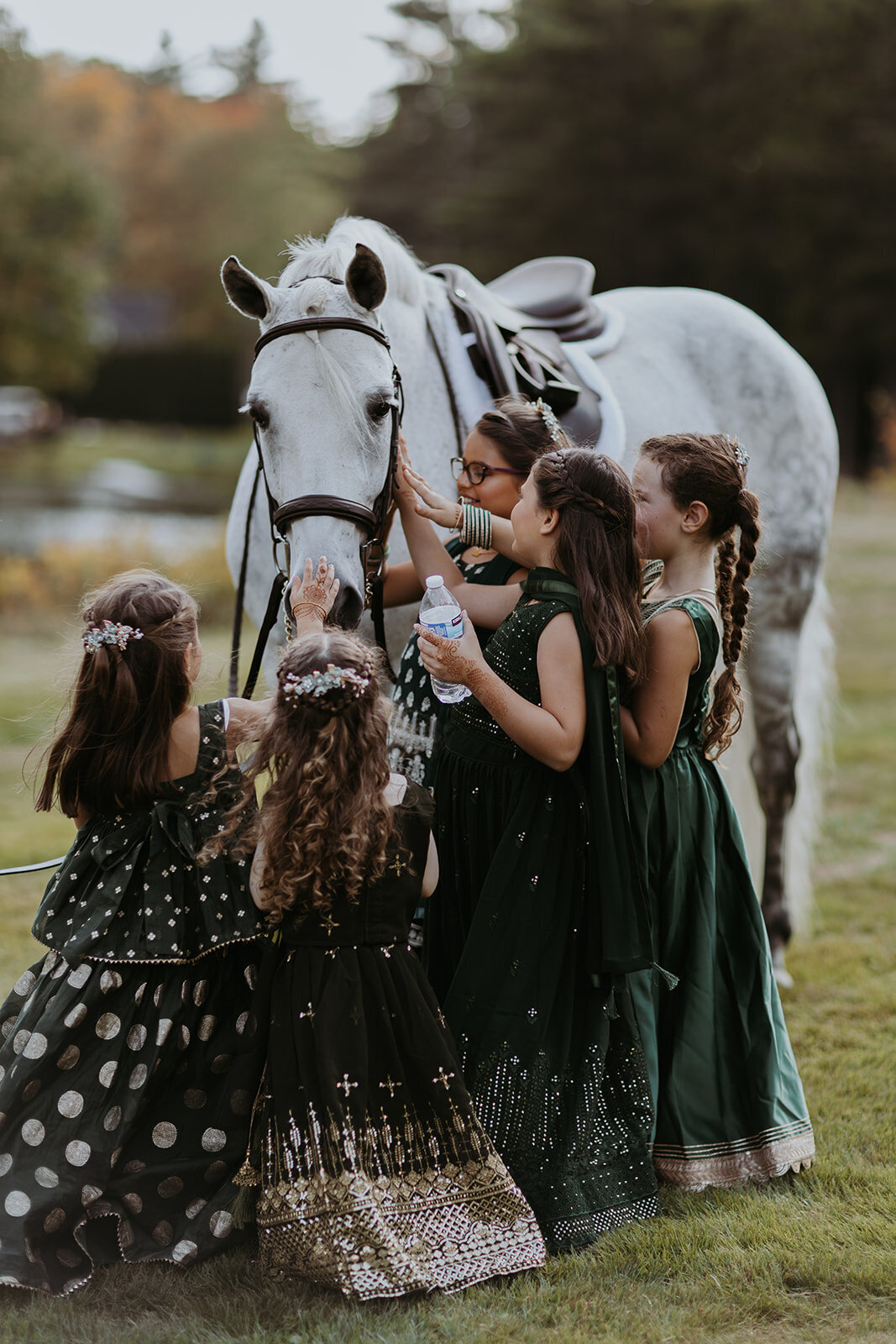 indian-wedding-lakefalls-lodge-837