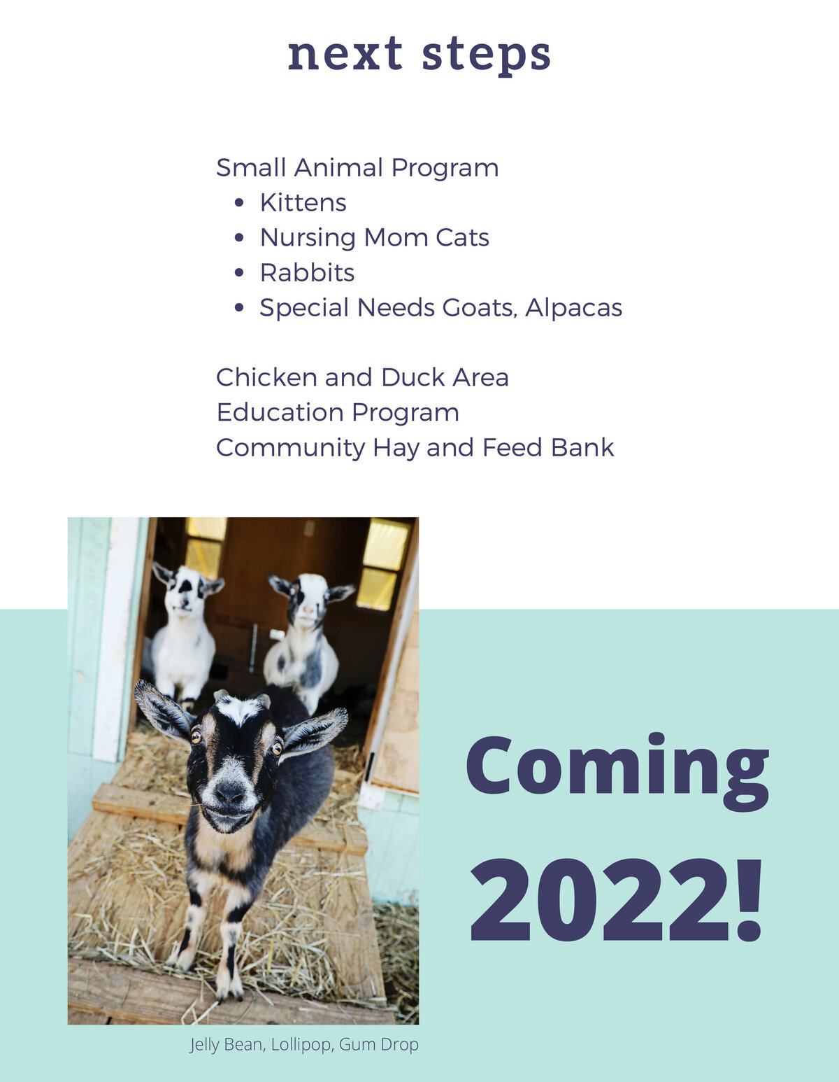Fabled Farm 2021 Annual Report-6