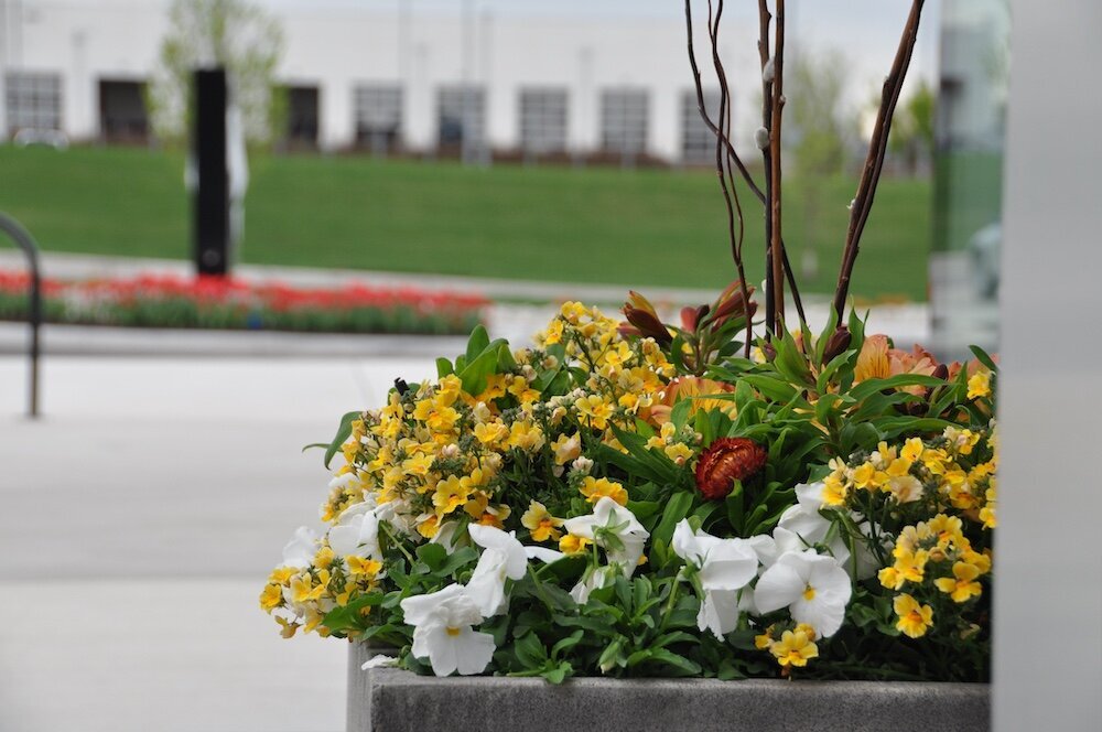 Commercial landscape company project in Kansas City