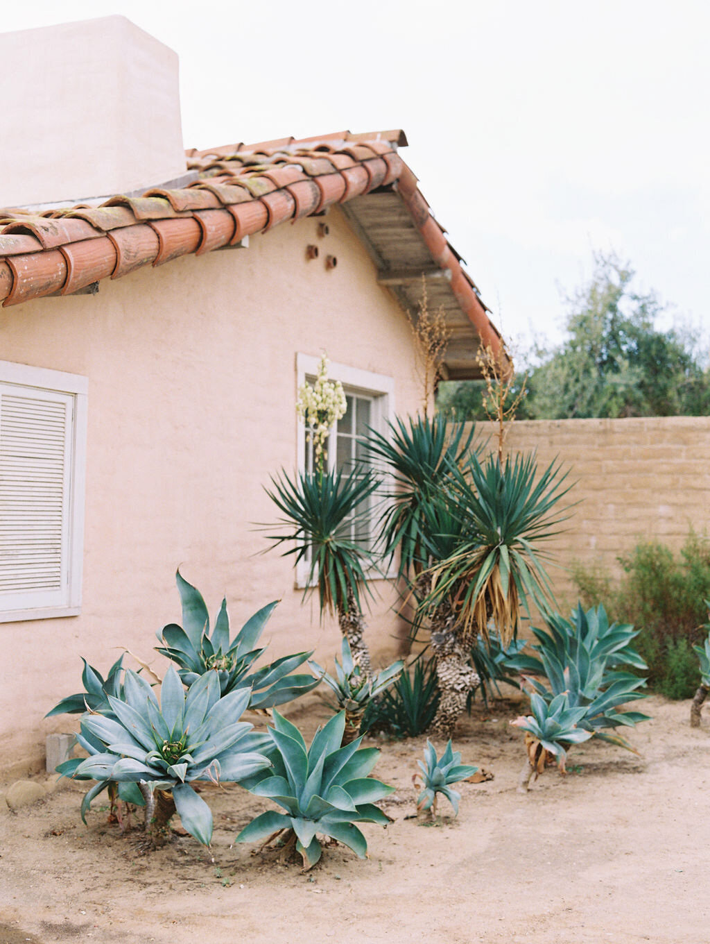 Garden-Wedding-Santa-Barbara-Historical-Museum-Megan-Rose-Events27