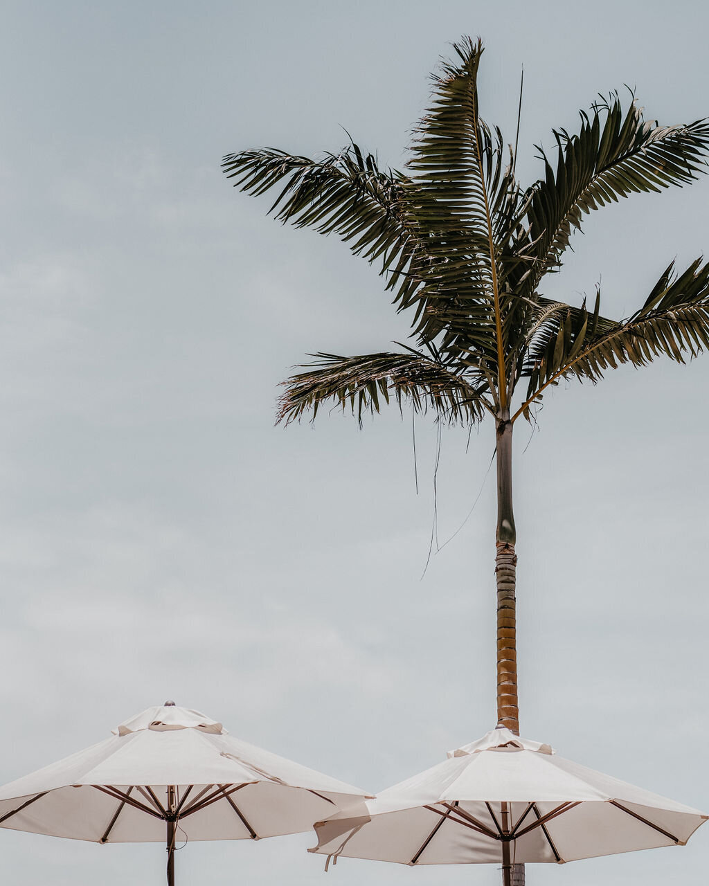 3d6eee4e-368b-4ca7-ae57-566f3fda1547