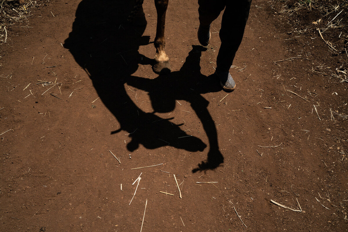 luxury-vacation-photographer-kirsten-lewis-arusha-tanzania090
