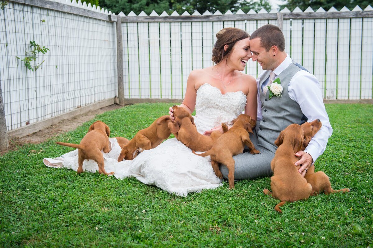 Wedding Photographer in London Ontario | One12 Photography40