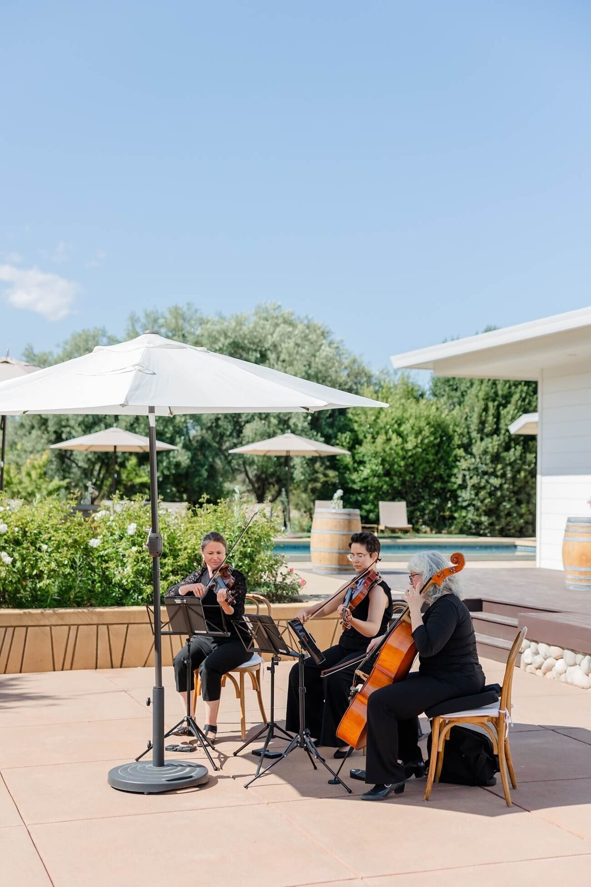 Napa Valley Wedding- Natalie Renee Photography_0041