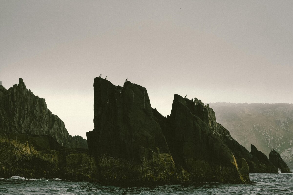 pexels-valeriiamiller-26050834