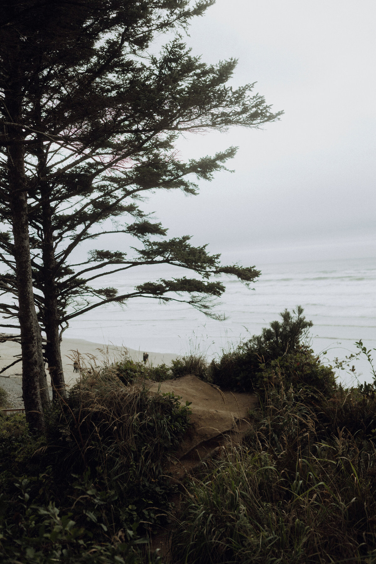 withlovefromcass-oregon-photographer-45