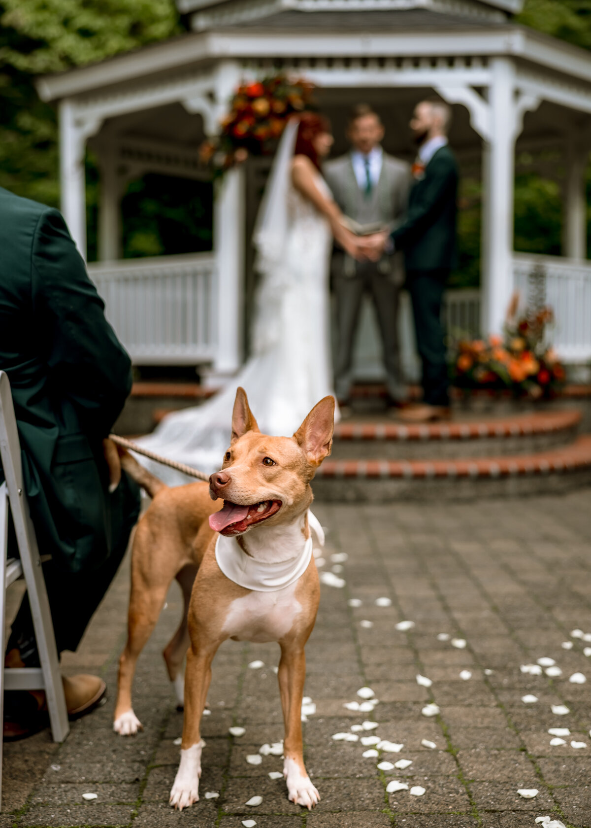 Oregon-Wedding-Photography.jpg