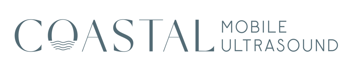 Vanessa-Ferketich-Primary-Logo-Teal