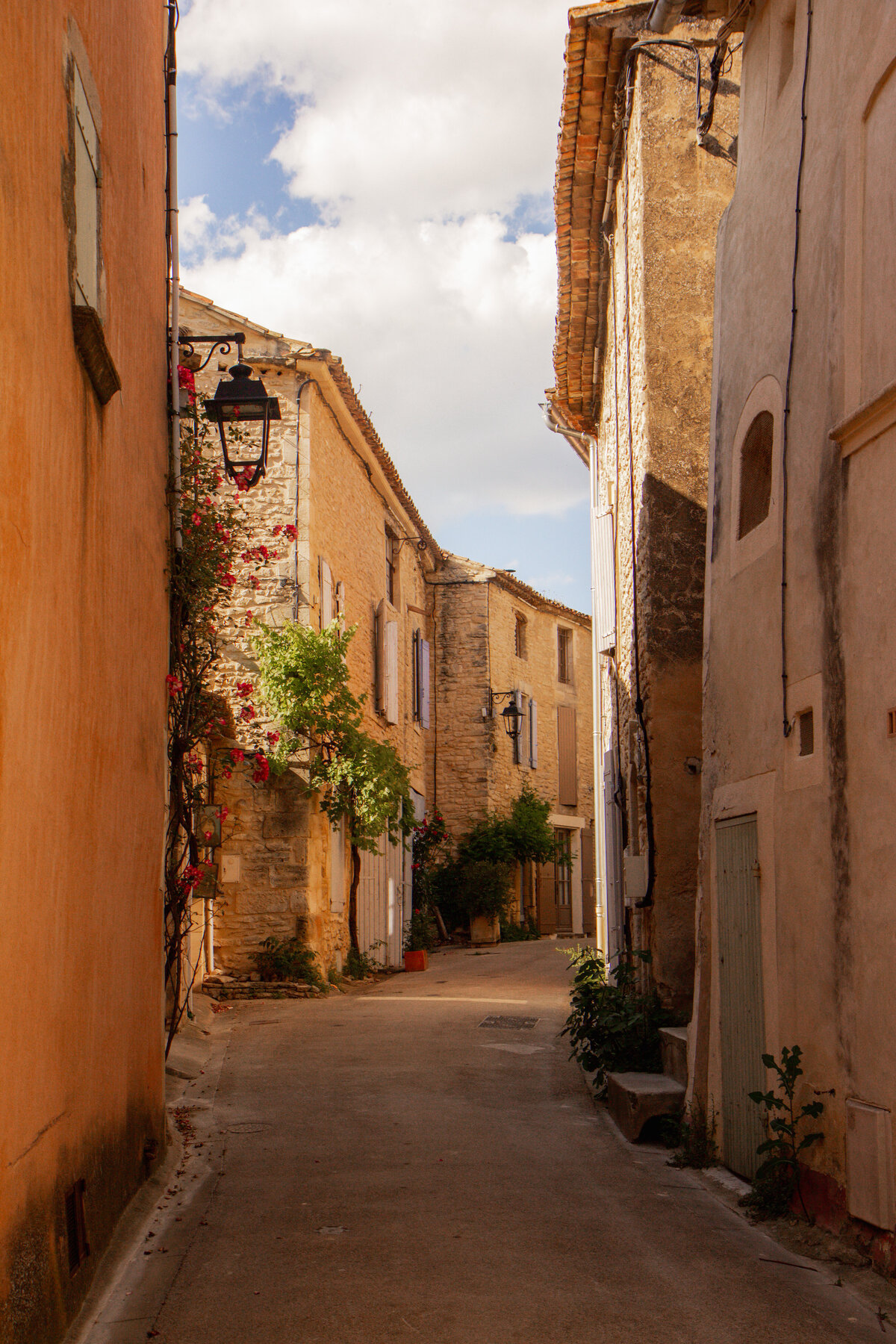 Provence-26