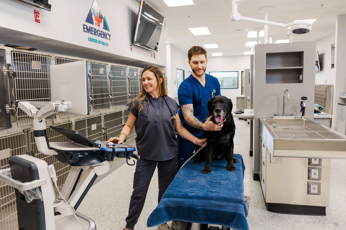 headshot-photographer-branding-photography-bend-or-95