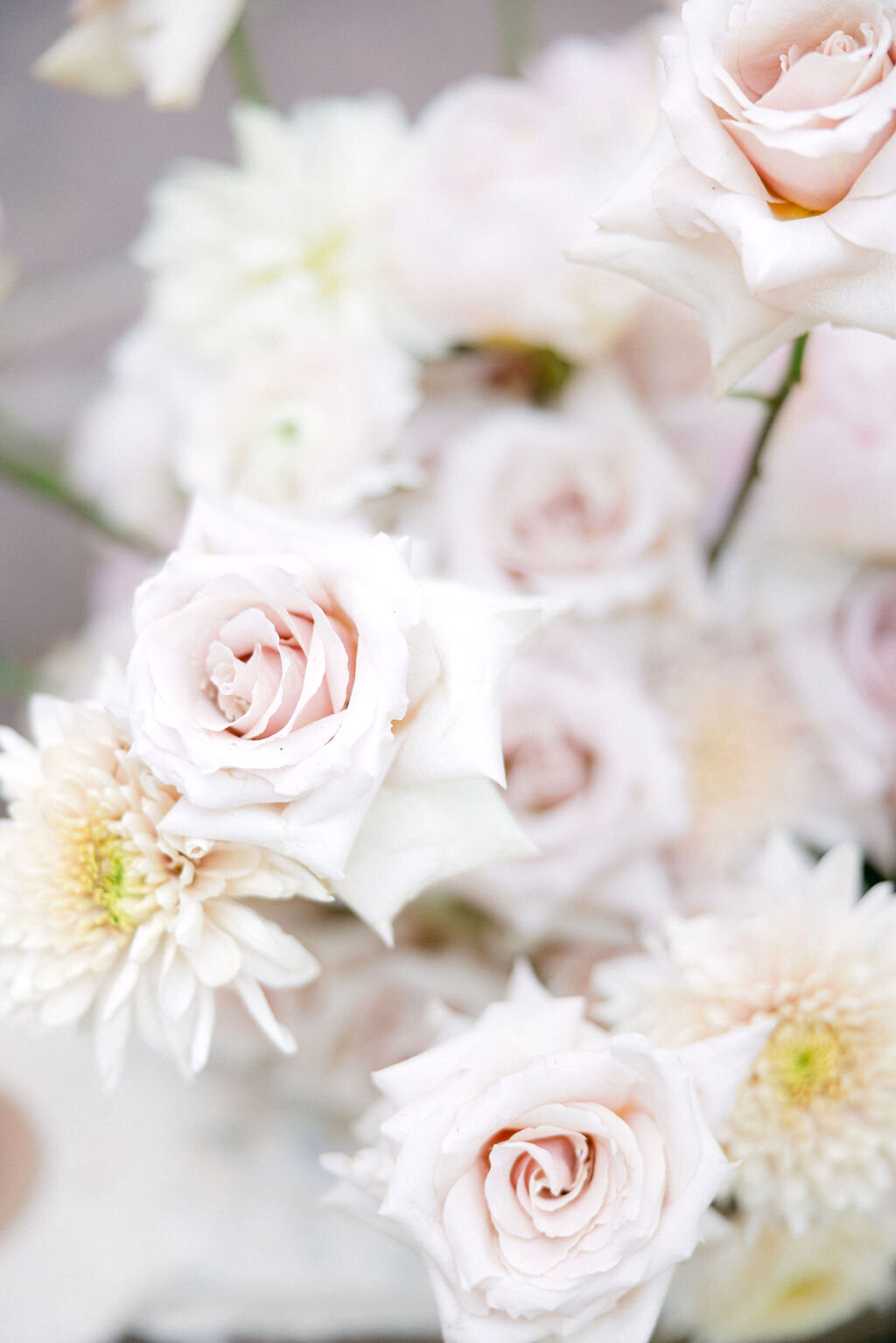 ChelseyBlackPhotography-1697