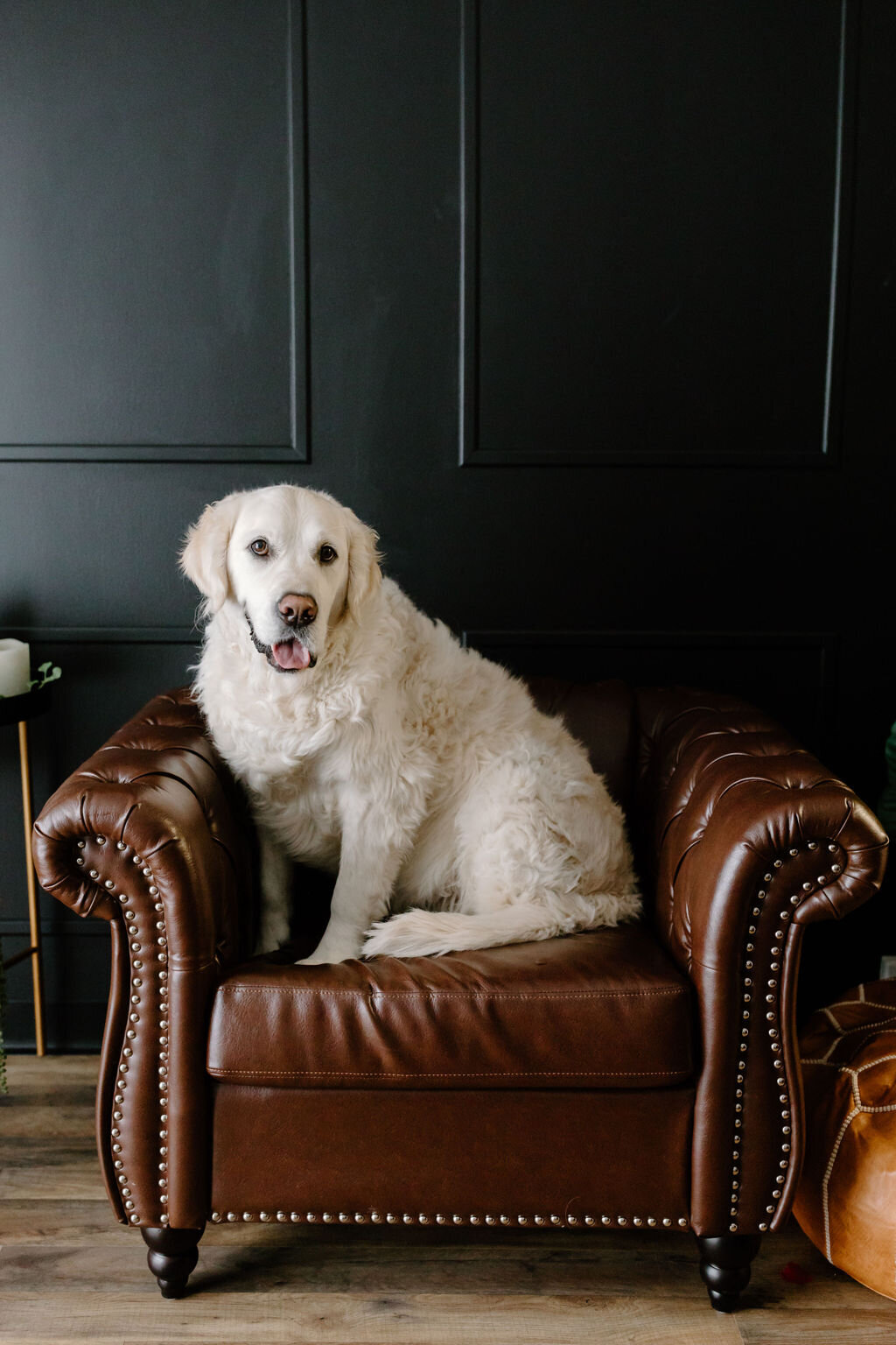 christina_ney_photography_wedding_engagement_lifestyle_photographer_dubuque_iowa_wedding_planning_assistance_adventurous_bold_laidback Family Photography61