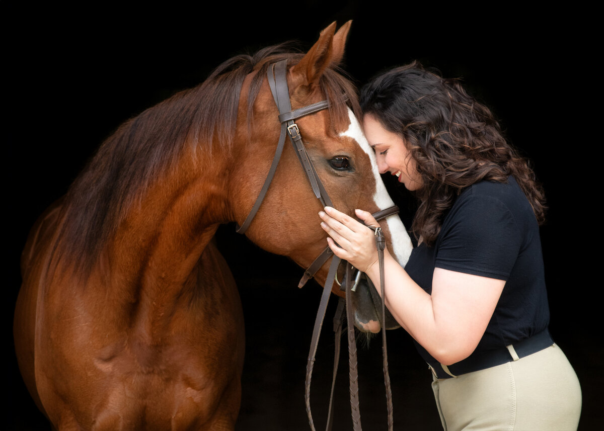 Equine-Portraits-Wallingford-CT-4