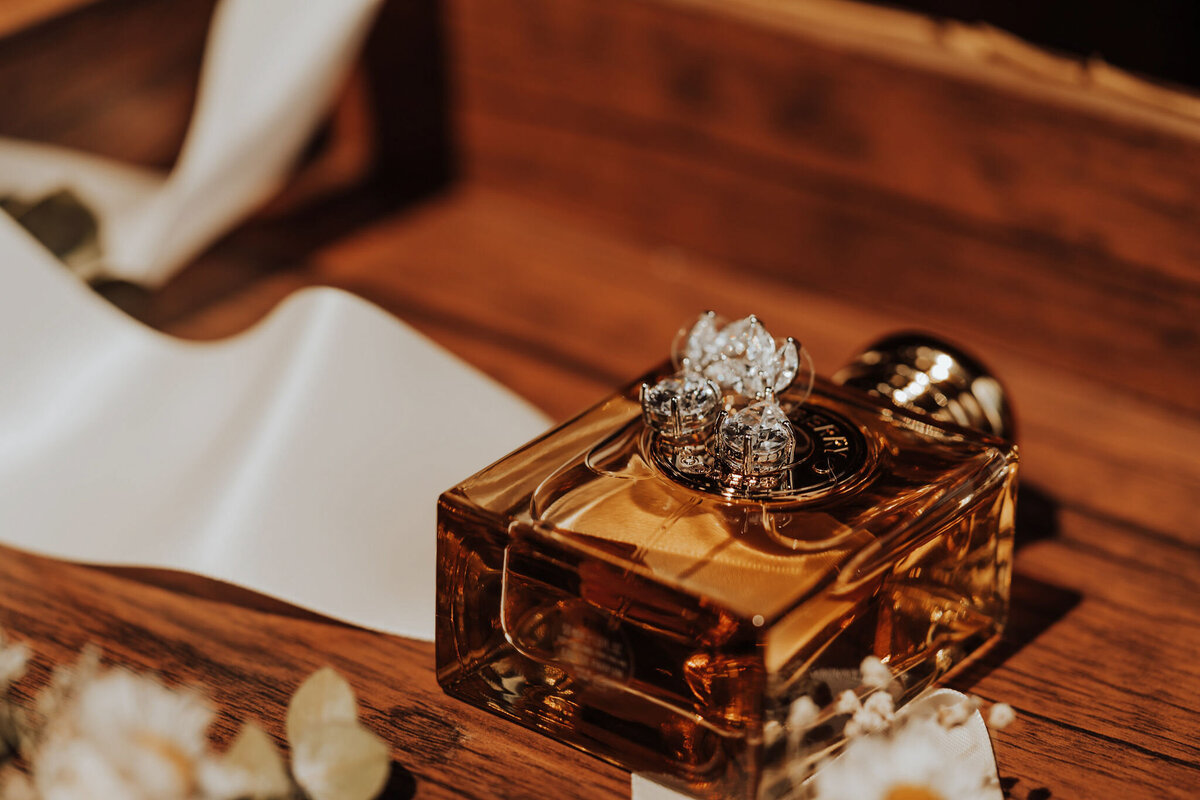 sevierville micro wedding-11