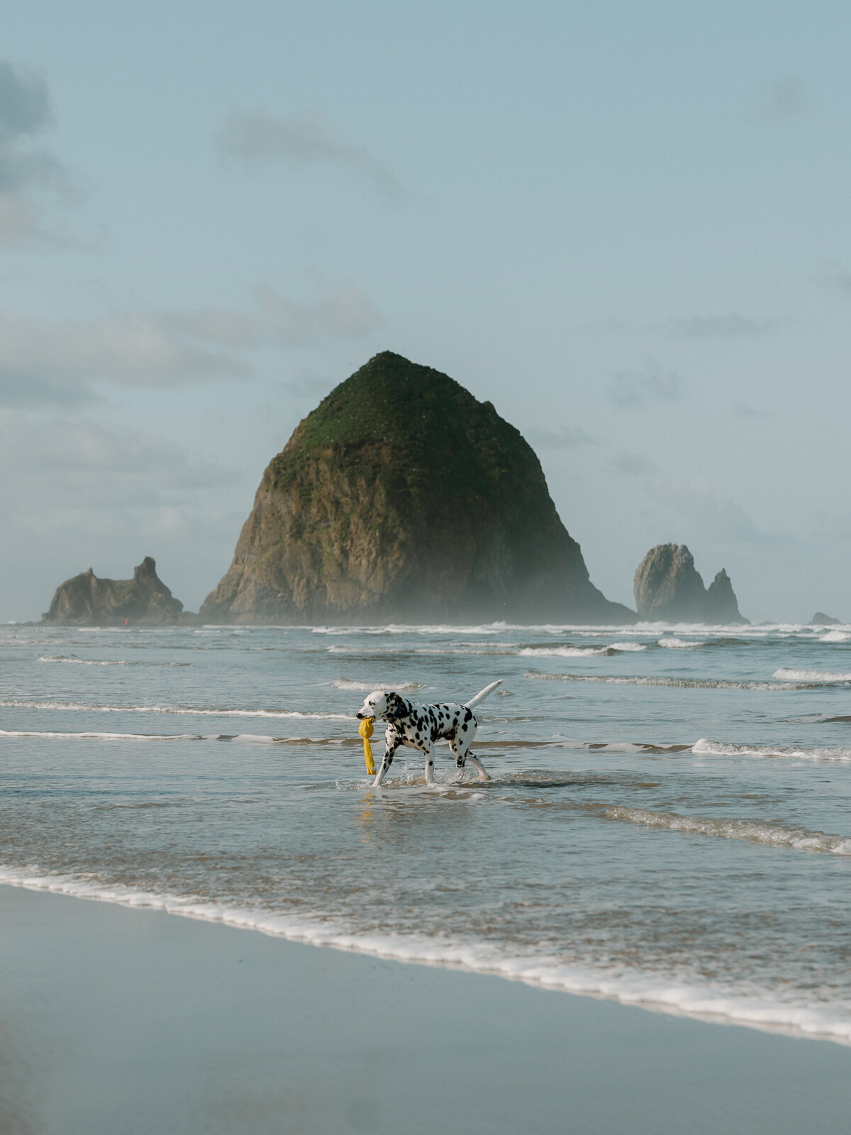 oregon-elopement 