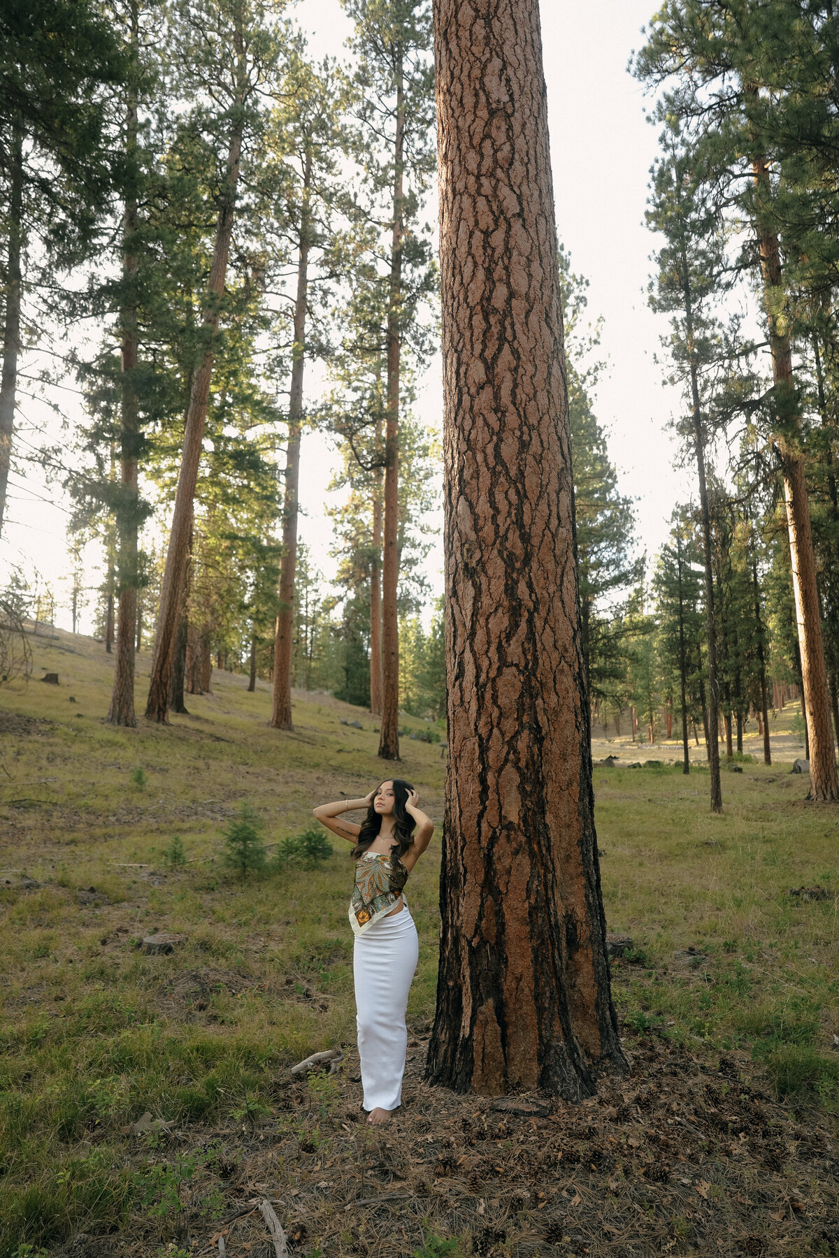 Dreamy Forest Senior Portrait of Girl in White Skirt Touching Pine Tree in Soft Morning Light