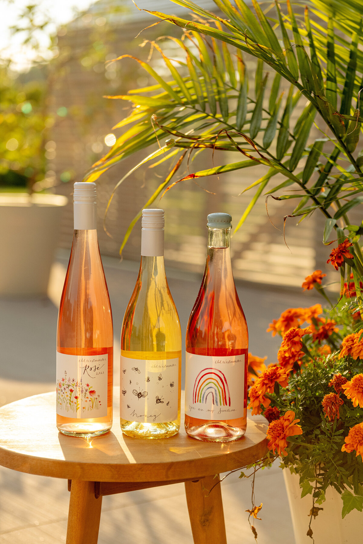 TerragoldPhoto-OldWestminsterWinery-wine-summer
