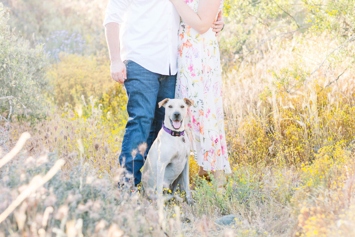 Clair and Brent-31