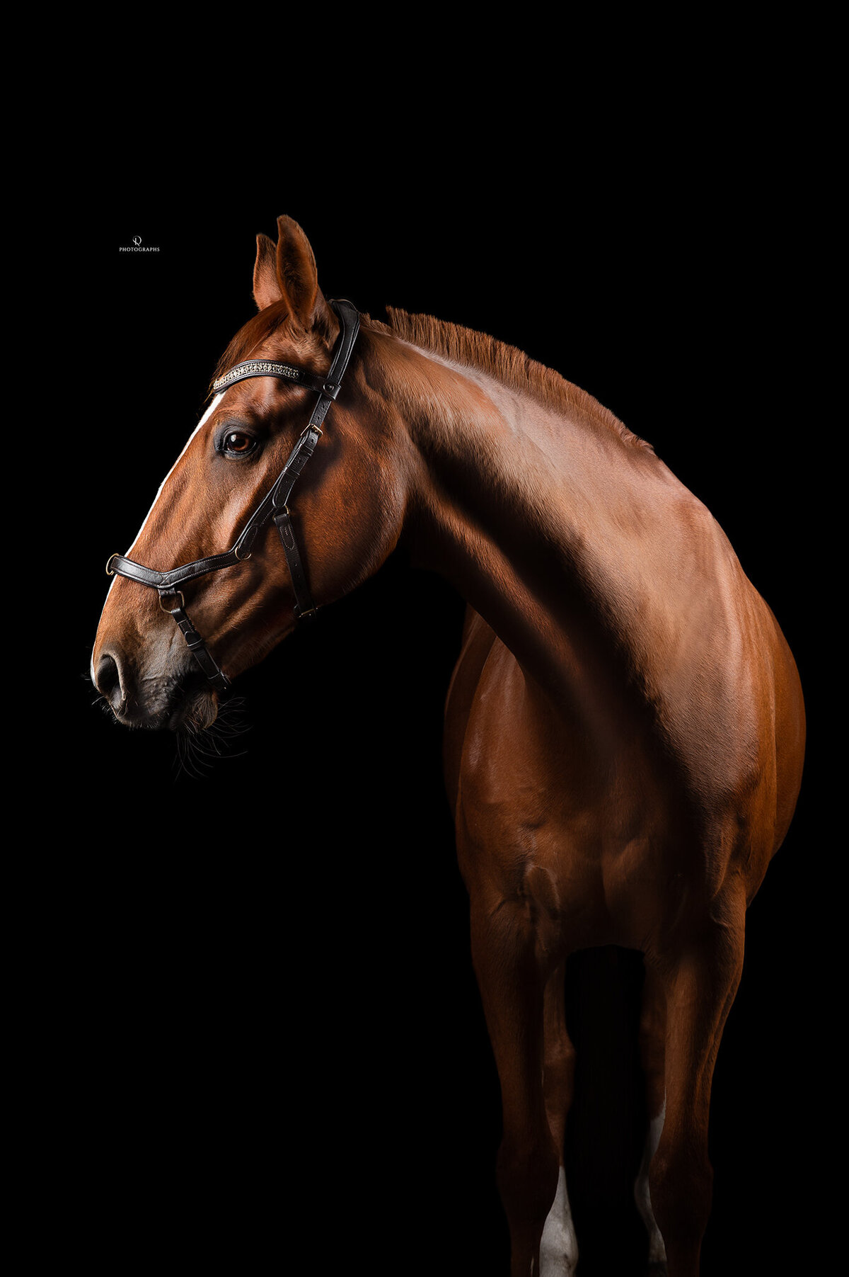 Z62_9429 WEB