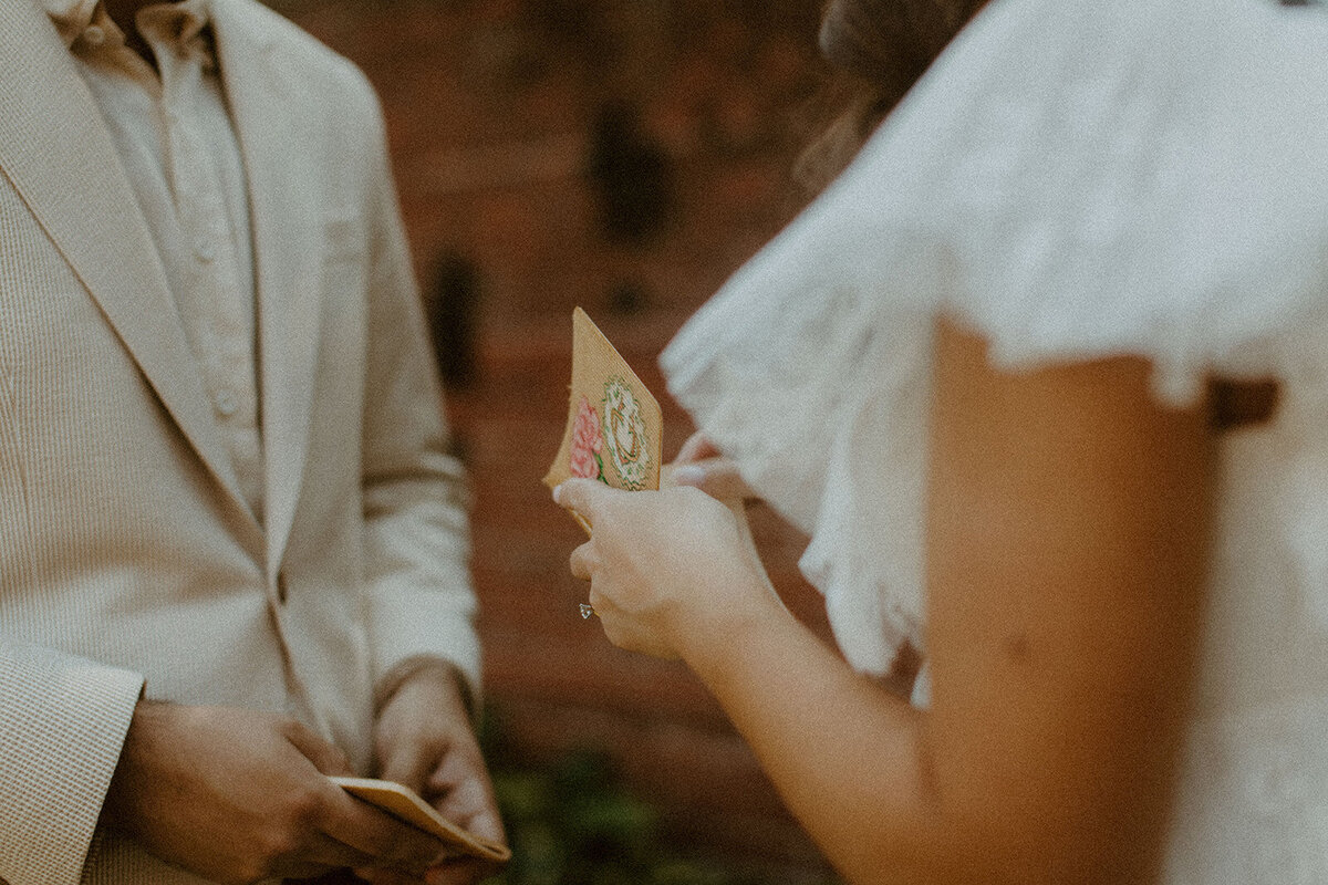 St. Louis_ MO _ Elopement + Intimate Wedding Photography _ Backcountry Bohemians-194