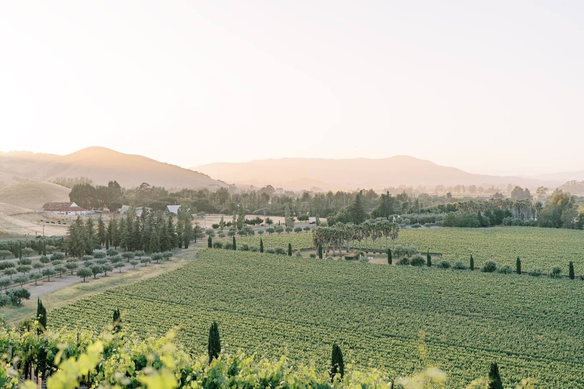 viansa winery sonoma california_0033