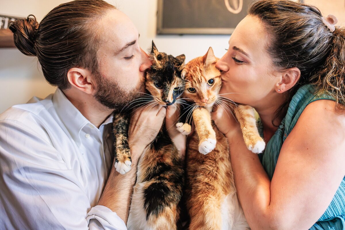 engagement-photo-with-cats