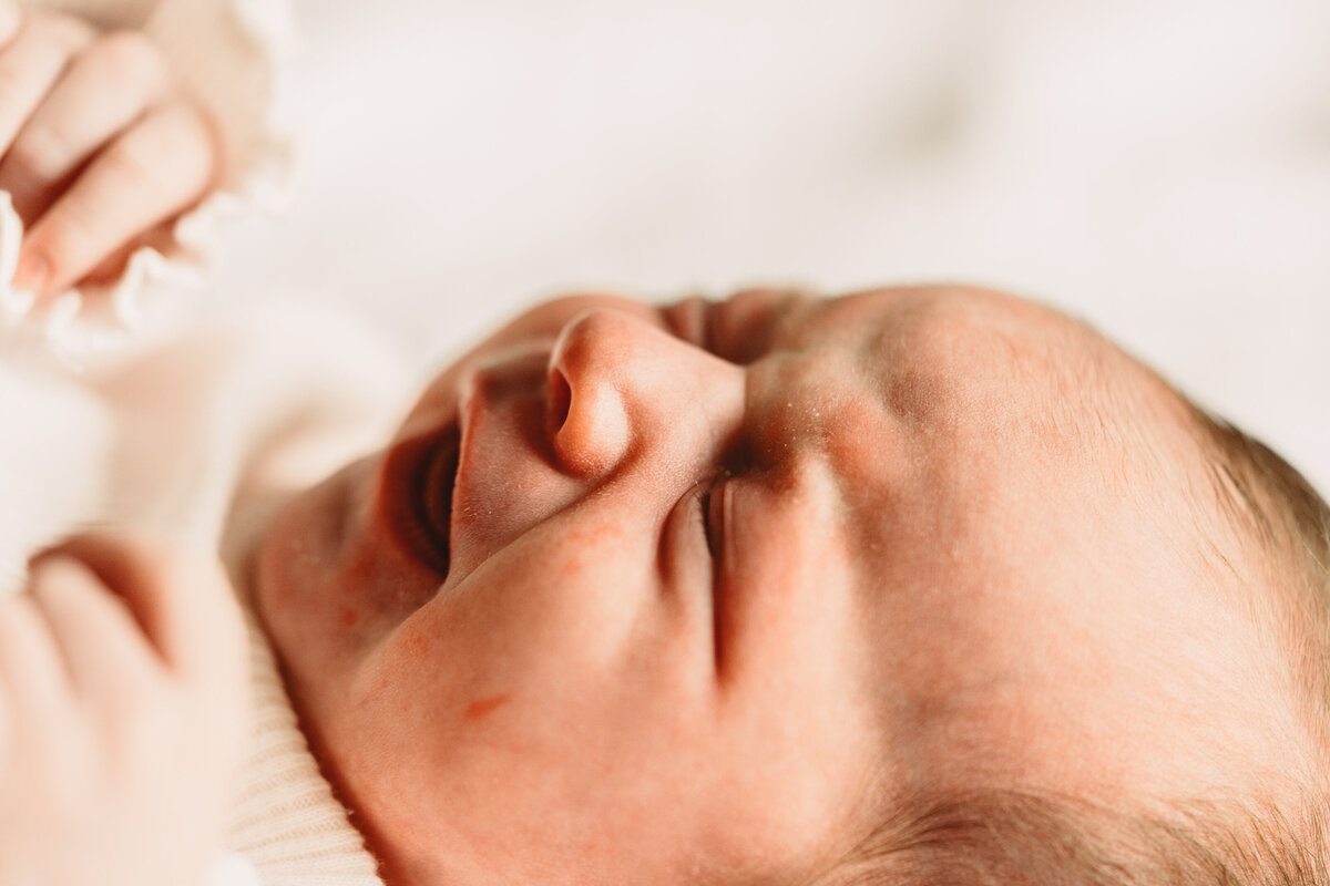 Baby Savannah00480
