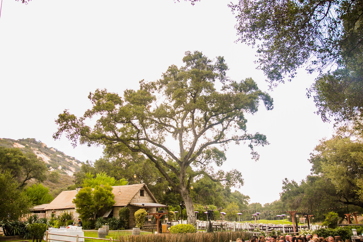 elegant-farmtable-temecula-wedding-1124_kgc