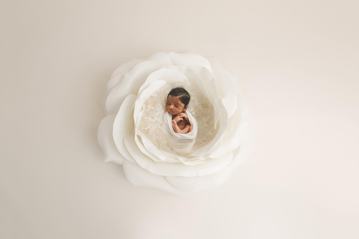 Infant posed for Newborn Photoshoot in Charleston, SC.