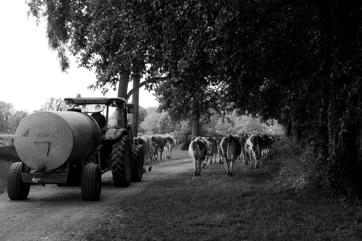 Bart Van der Moeren - Morvan - 002