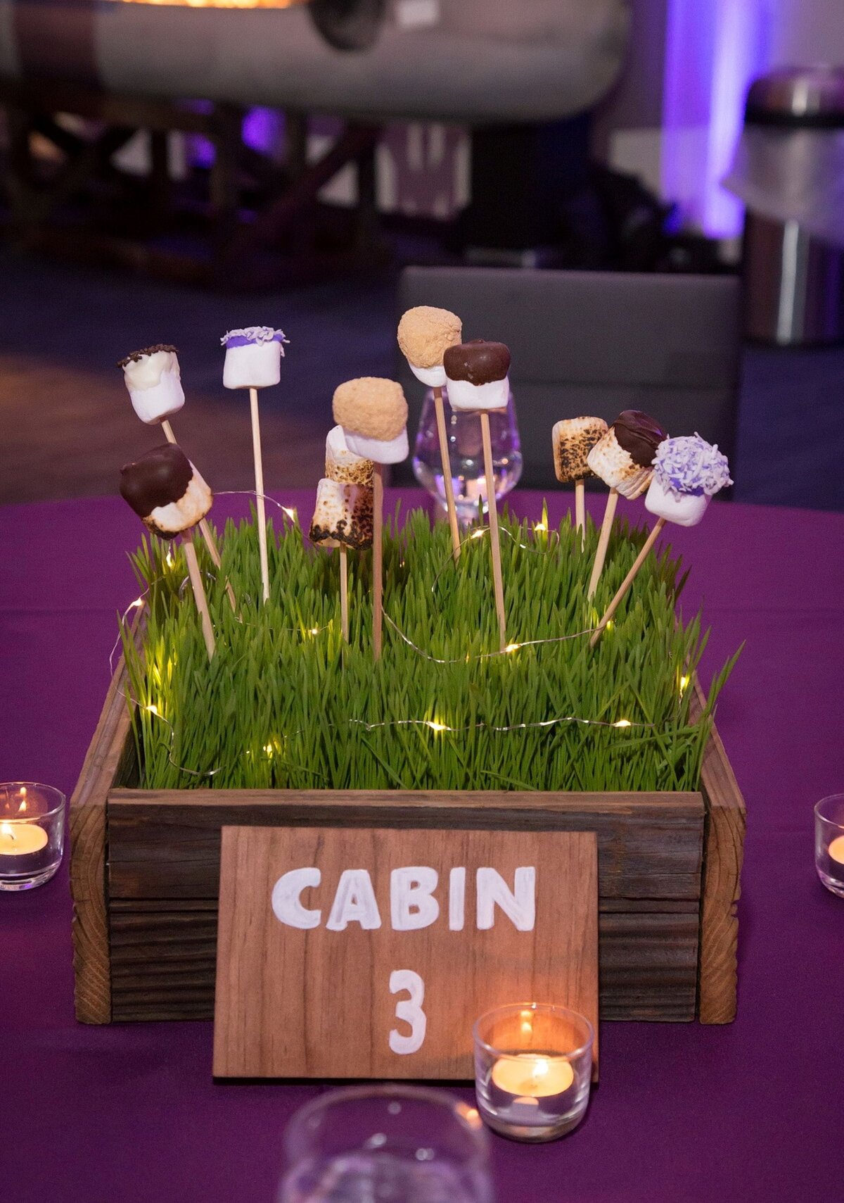 Event-Planning-DC-Decor-Summer-Camp-Theme-Marshmallow-Centerpiece-Hyatt-Regency-Tysons-Corner-Virginia-